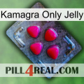 Kamagra Only Jelly 13